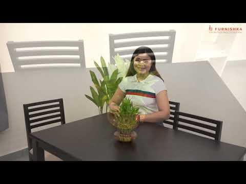 Rivo Solid Wood 4 Seater Dining Set with Dining Chair