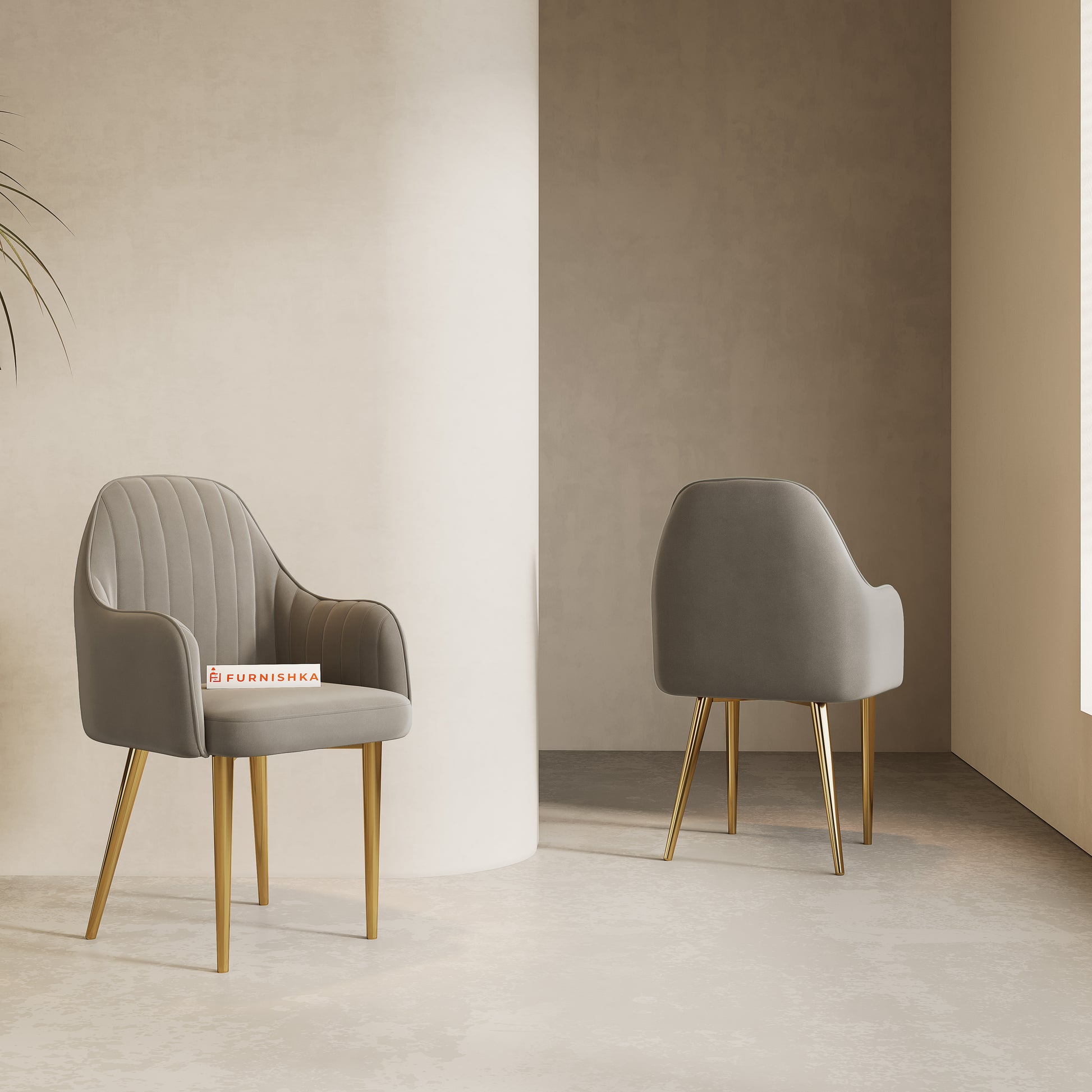 Harley Dining Chair With Gold Leg Space Grey - Furnishka 