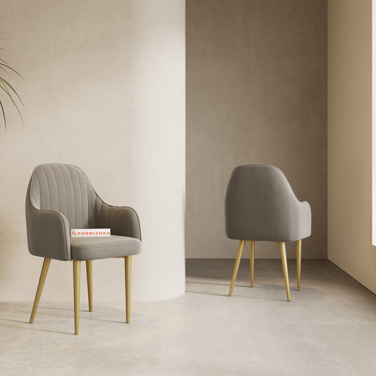 Harley  Dining Chair With powder coating Leg- space grey - Furnishka