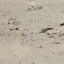 Travertine