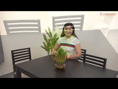 Rivo 4 Seater Dining Table Set